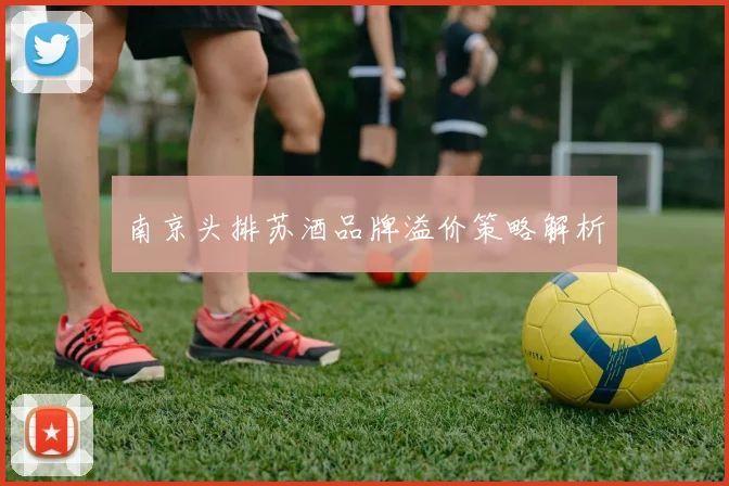 南京头排苏酒品牌溢价策略解析