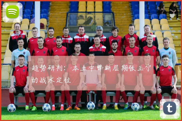 趋势研判：本土中锋断层期张玉宁的战术定位