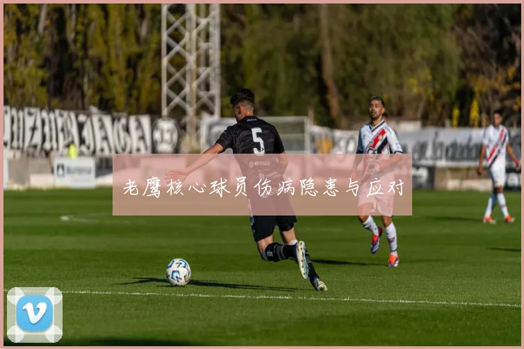 老鹰核心球员伤病隐患与应对