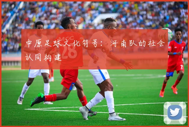 中原足球文化符号：河南队的社会认同构建